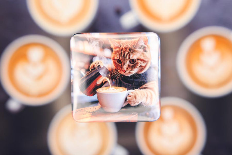 Barista Cats