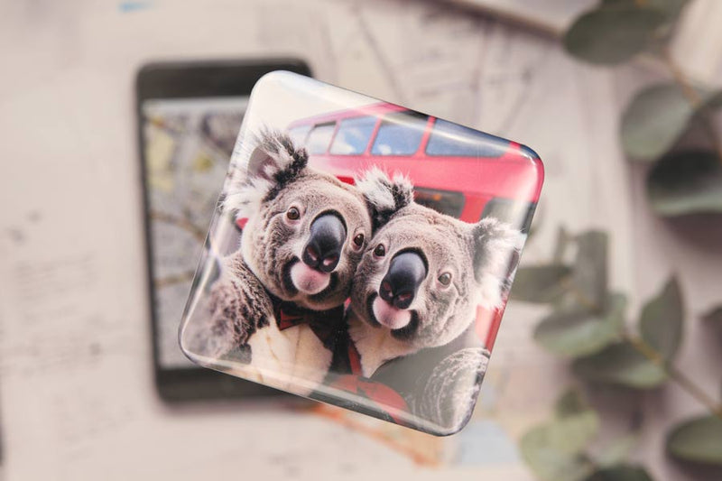 Koala Selfies
